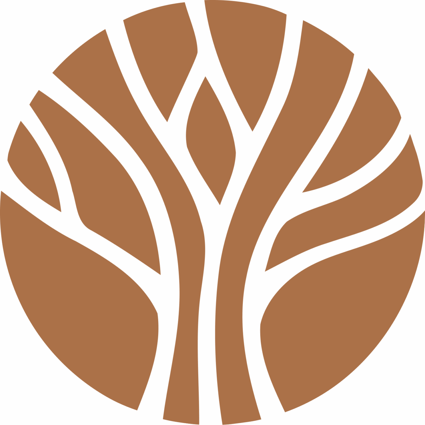 Great Oak Tree Icon