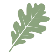Green Oak Leaf Icon